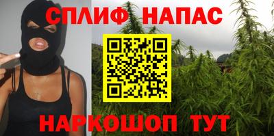 гашик Краснодар