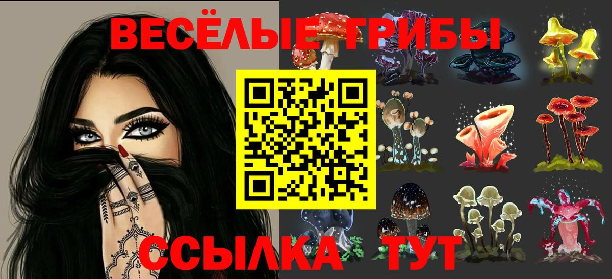 Галлюциногенные грибы мухоморы Кирово-Чепецк